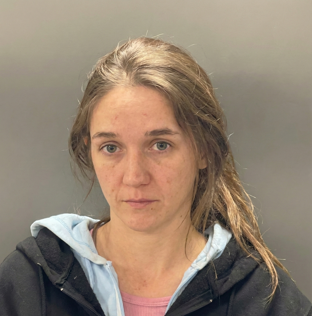 Solsberry Woman Facing 'Child Selling' Charge Following Owen County Arrest