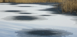 Tense Ice Rescue South of Dugger Ends in Success (FREE MEMBER ACCESS)