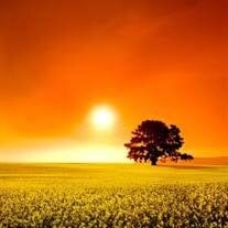 Obituary for Donald Henry Easton Sr.