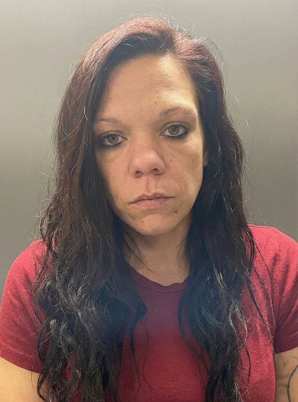 Gosport Woman Facing Multiple Theft and Vehicle Entry Charges in Owen County Arrest